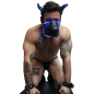 MASQUE CHIEN POUNTDOWN NEON BLEU 2312M - BREEDWELL