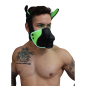 MASQUE CHIEN POUNTDOWN NEON VERT 2312M - BREEDWELL