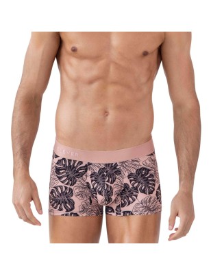 BOXER PACIF ROSE 1635 - CLEVER