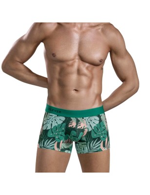 BOXER FORET A MOTIFS VERT 1688 - CLEVER