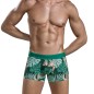 BOXER FORET A MOTIFS VERT 1688 - CLEVER